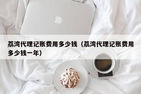 新疆规模大的代账软件,新疆规模大的代账软件公司