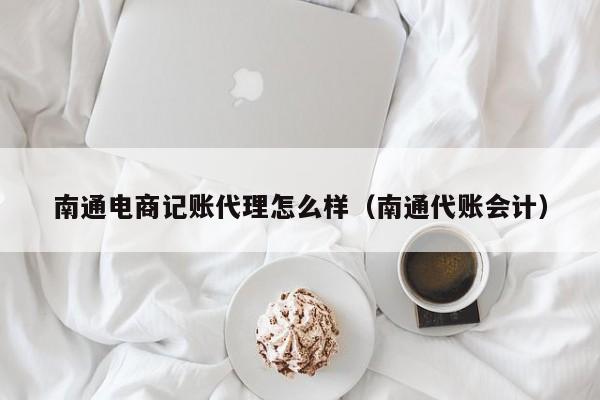 代账会计用什么软件好用,代账会计做什么