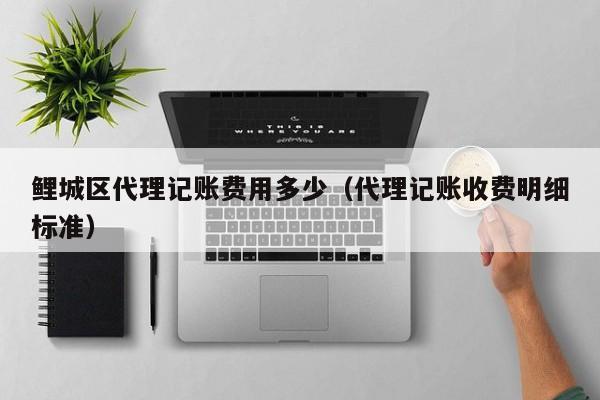 关于阜康代账财务软件报价修改的信息