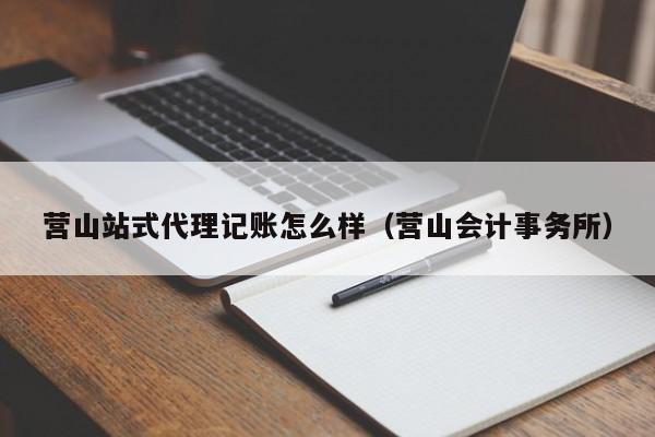 没有业务用什么记账软件,没有做账软件怎么做账