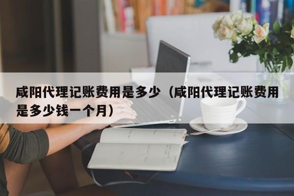 轻松学会86云记账软件，快速提高工作效率