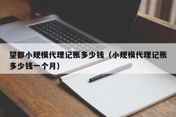 扬州记账管理软件,江苏记账公司