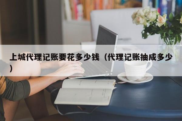 个人在家代账有软件吗,在家代账赚钱吗