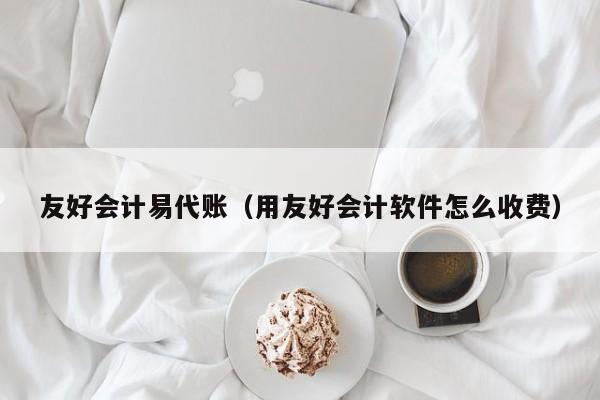 友好会计易代账（用友好会计软件怎么收费）